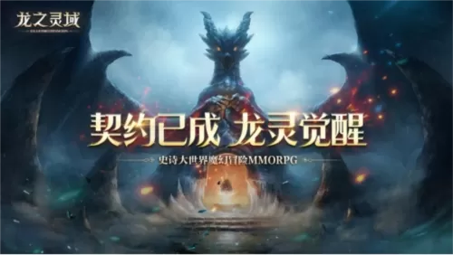 网易全新魔幻冒险手游《龙之灵域》3月30日正式开测！插图