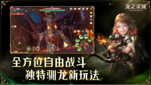 网易全新魔幻冒险手游《龙之灵域》3月30日正式开测！插图7